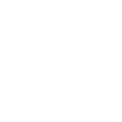 Fifth Sense white logo